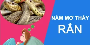 Nằm mơ thấy rắn 78Win